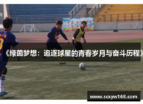《绿茵梦想：追逐球星的青春岁月与奋斗历程》