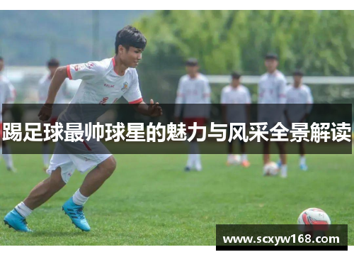 踢足球最帅球星的魅力与风采全景解读